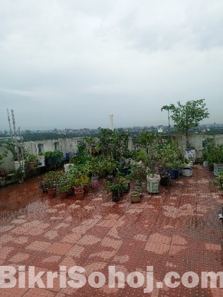 Safa Tower